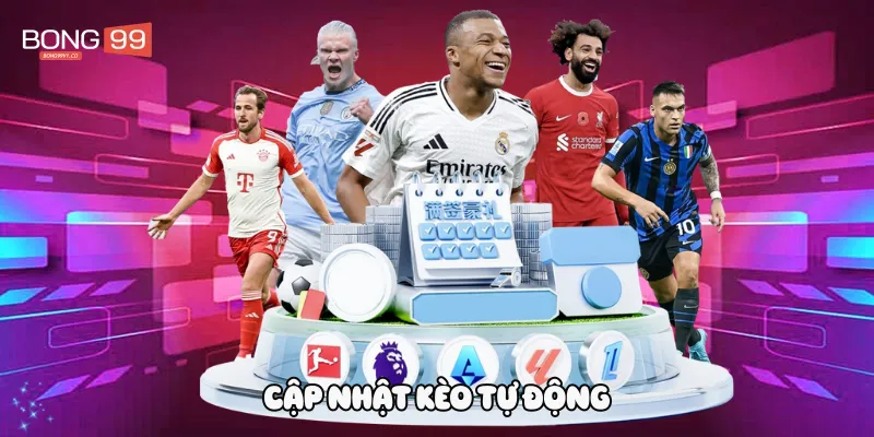 Cập nhật kèo tự động