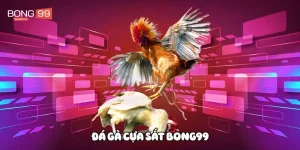 Đá gà cựa sắt