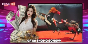 Đá gà thomo