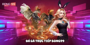 Đá gà trực tiếp