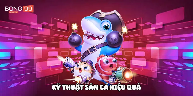 Kỹ thuật săn cá hiệu quả