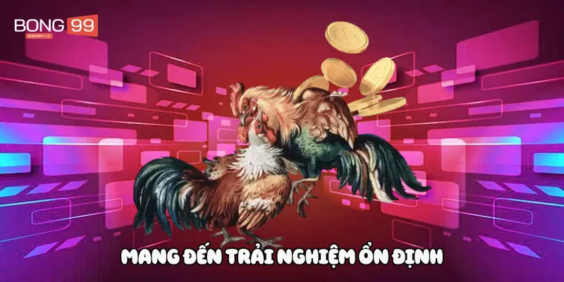 Cảm nhận trong đá gà trực tiếp