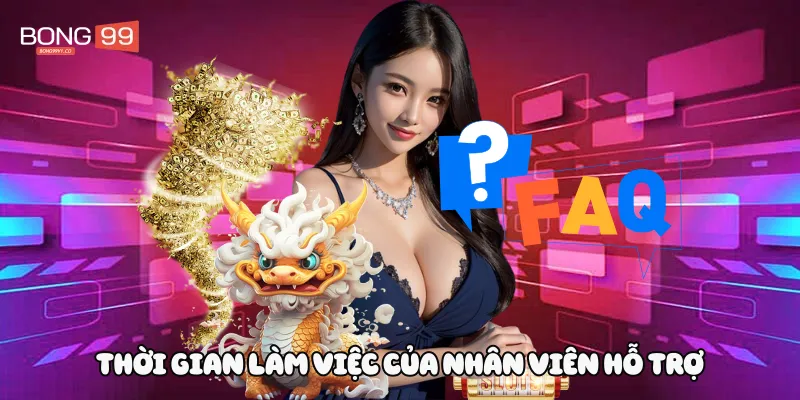 Thời gian làm việc của nhân viên hỗ trợ