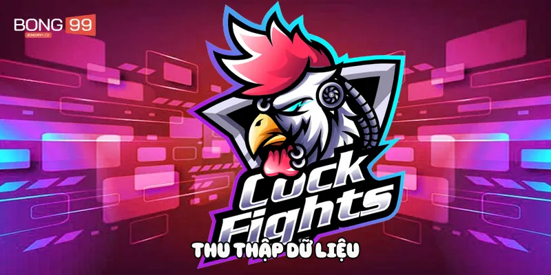 Thu thập dữ liệu